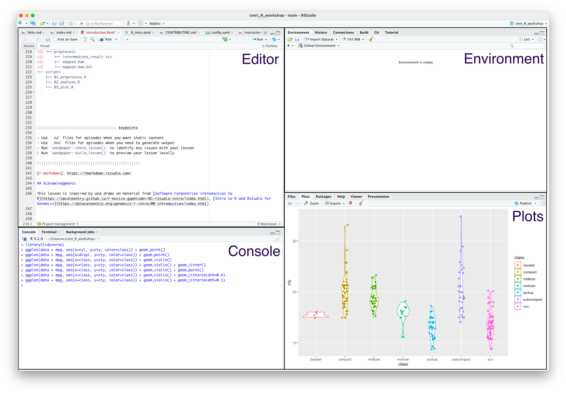 Four panes of RStudio, showing the editor, console, environment and plots panel